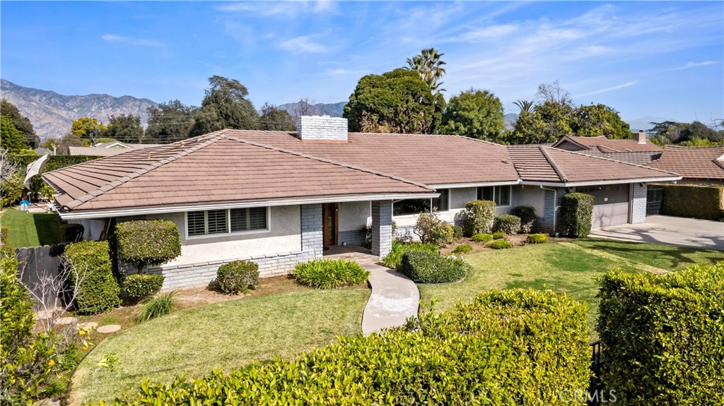 541 Rosemarie