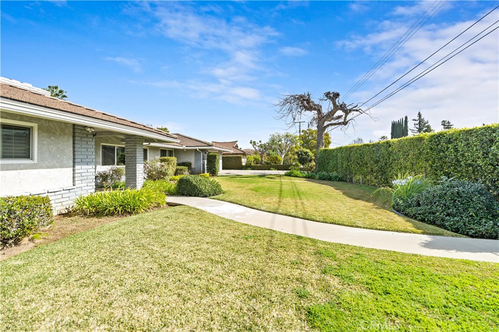 541 Rosemarie