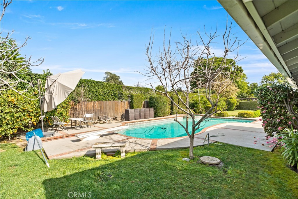 541 Rosemarie