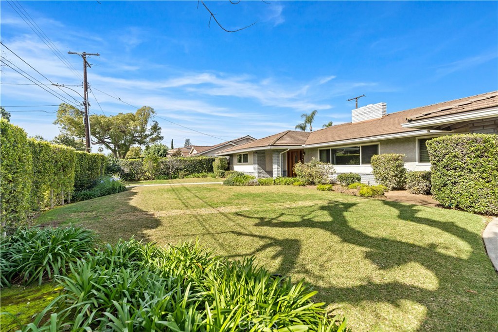 541 Rosemarie