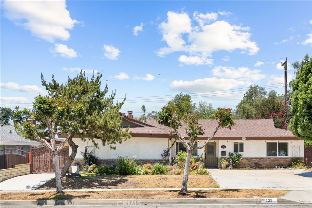 125 W Ronwood Street