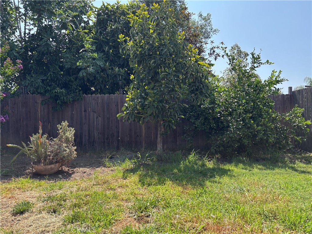 2036 Citrus View
