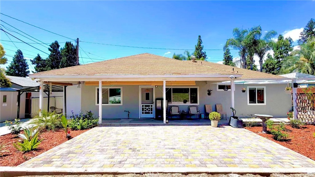 111 Poinsettia