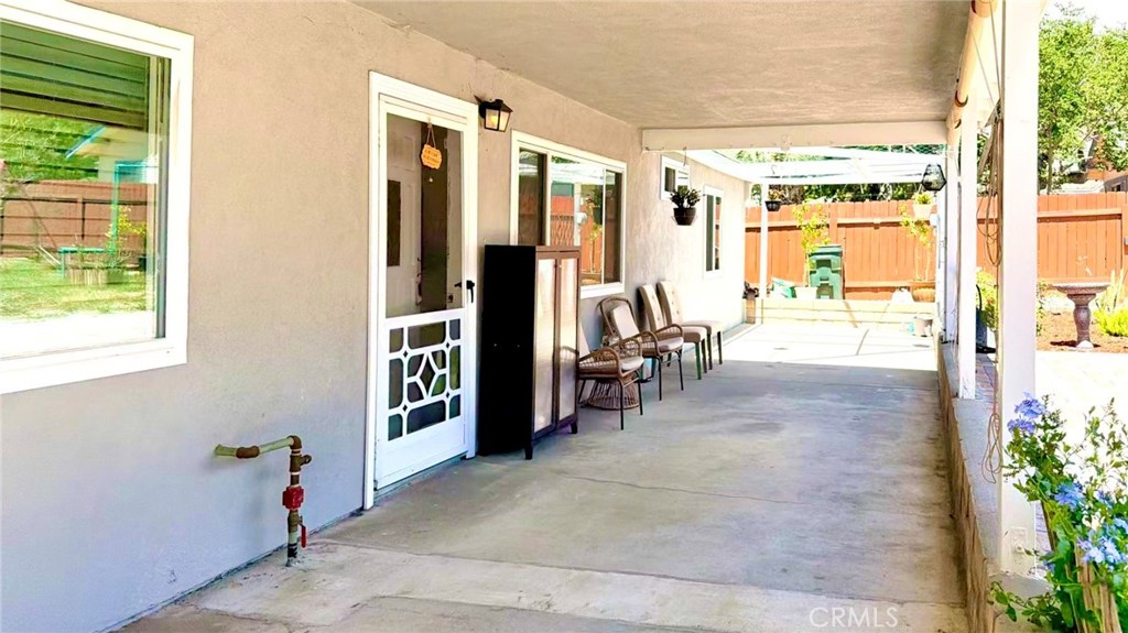 111 Poinsettia