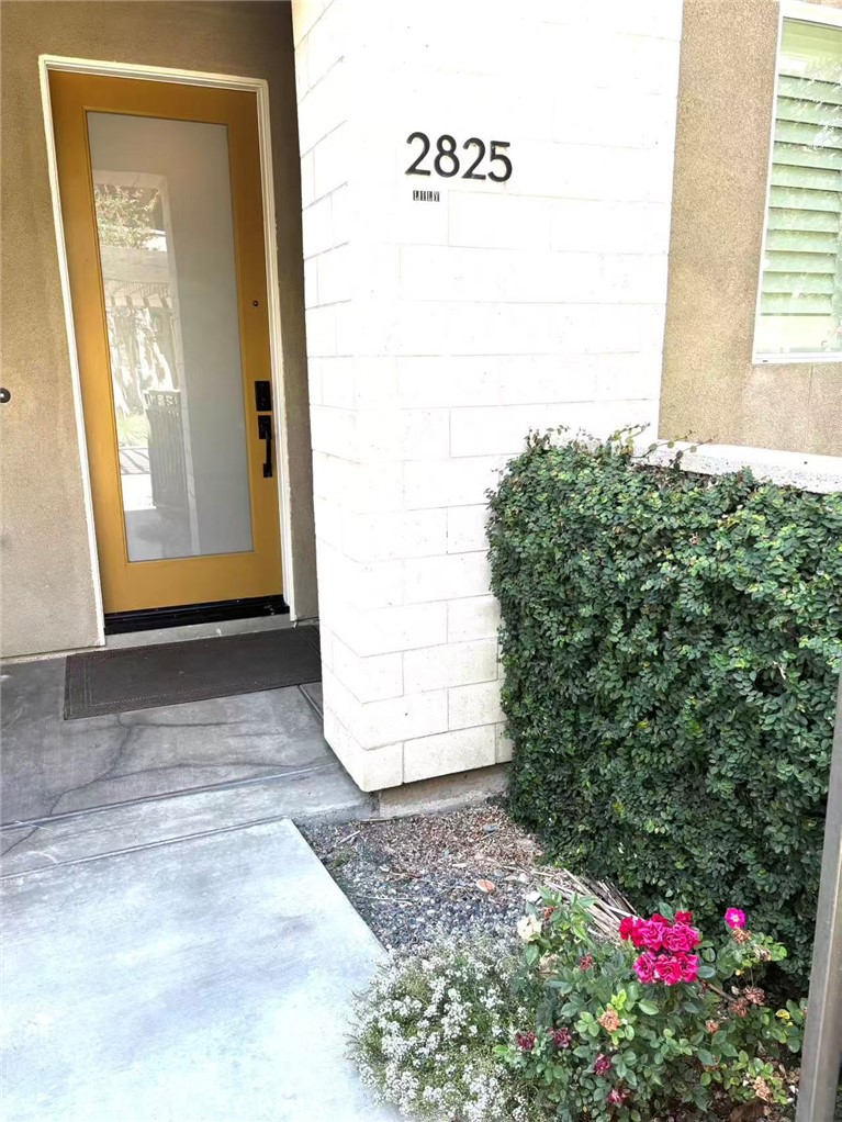 2825 Lily Lane