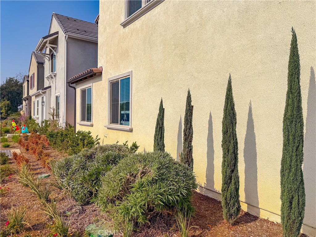 501 Embrook