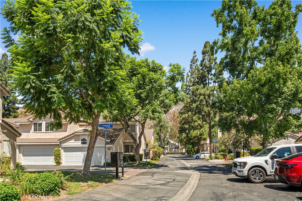 317 Somerset Court