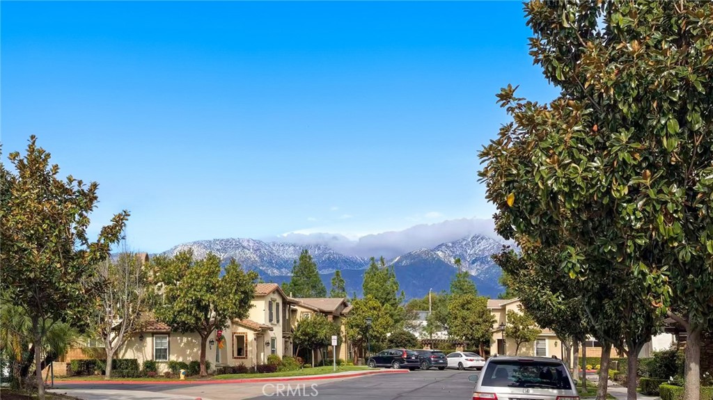10369 Cooks Drive Unit #2