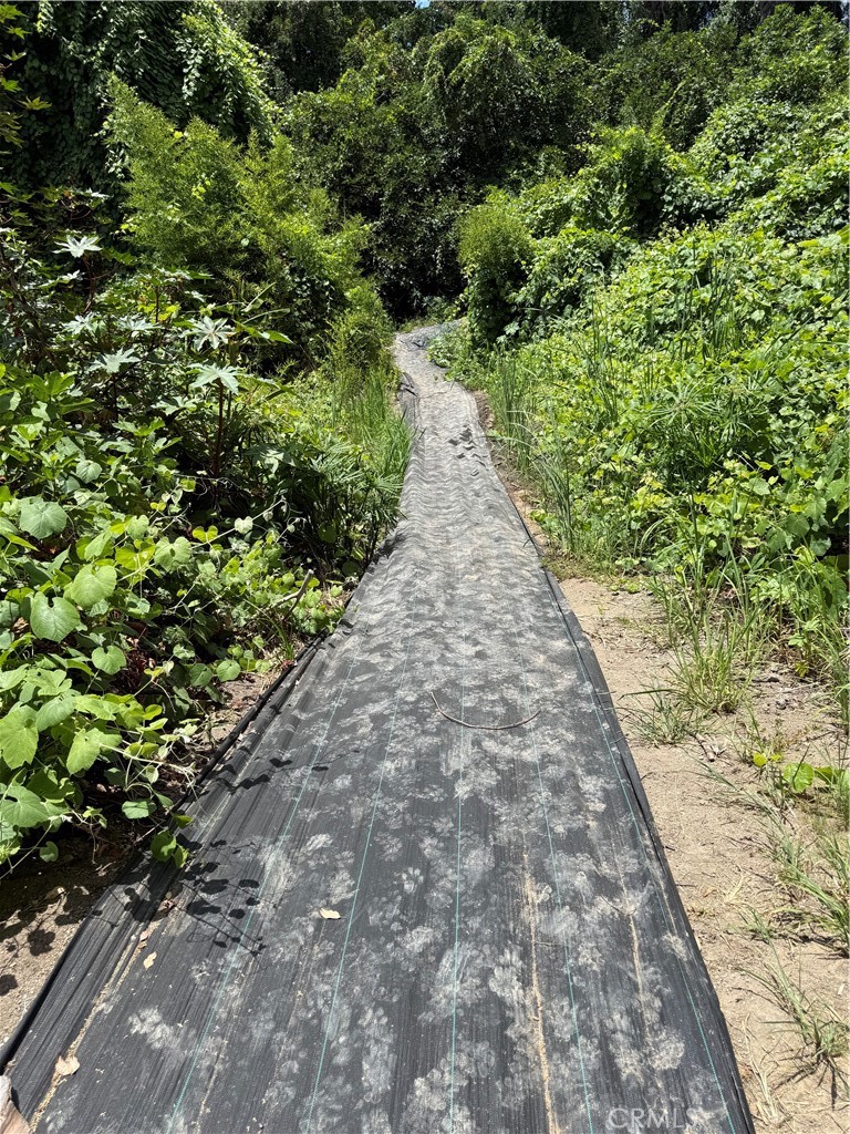 3818 Osbun Road