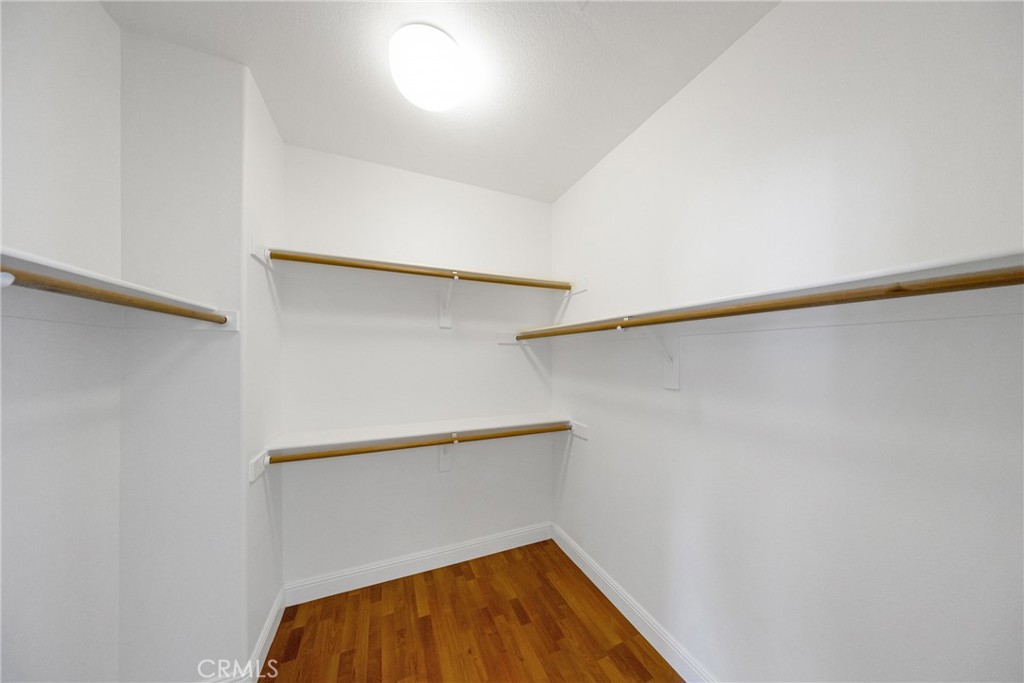 2938 Cardamon Lane