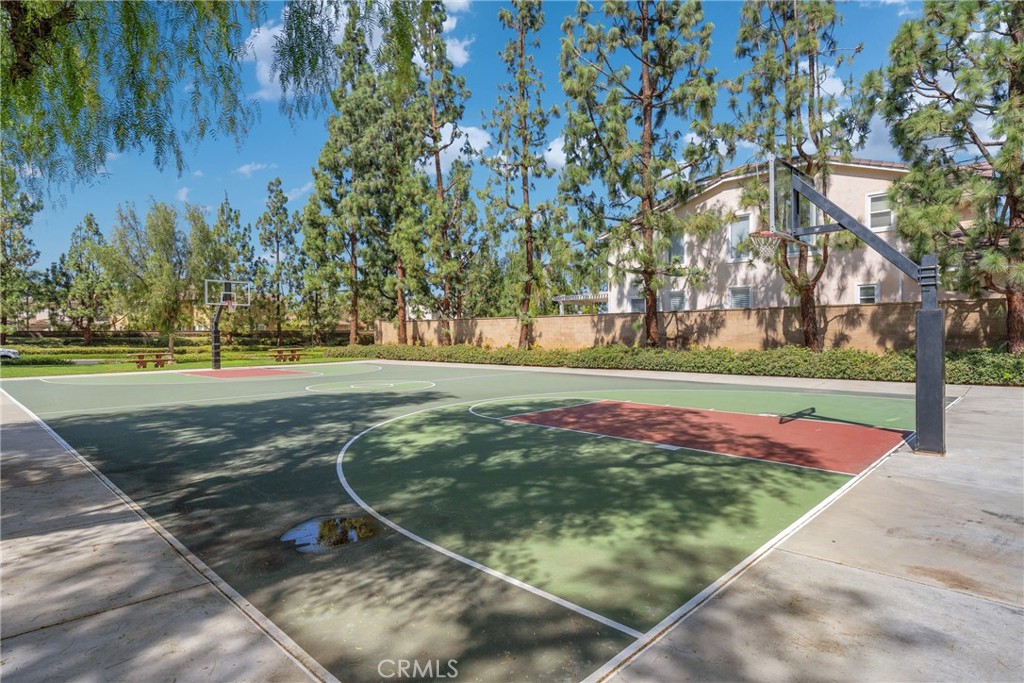 2938 Cardamon Lane