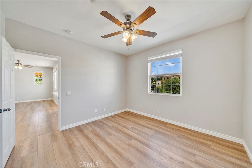 44940 Honey Locust