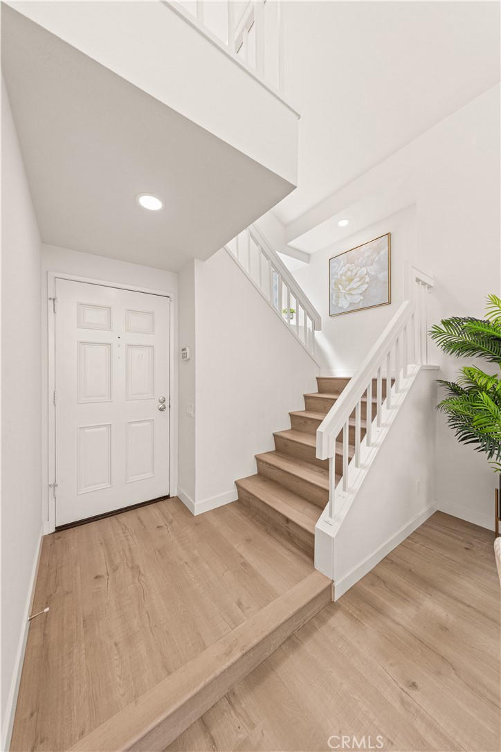 2854 Woodsorrel