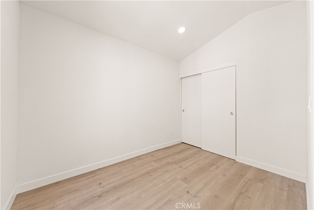 2854 Woodsorrel