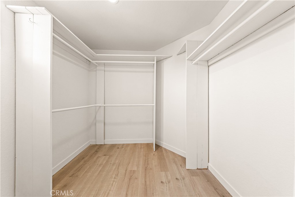 2854 Woodsorrel