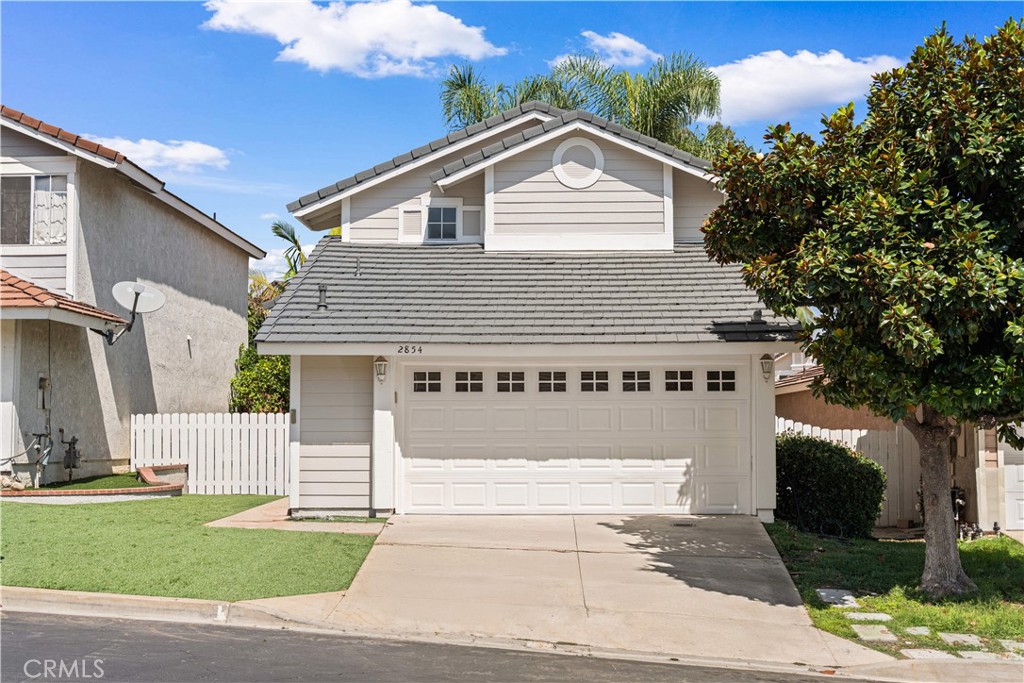 2854 Woodsorrel