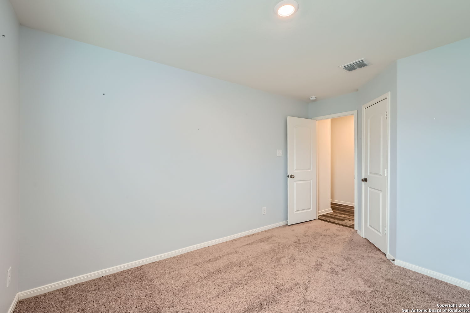 11823 VINEY PASS