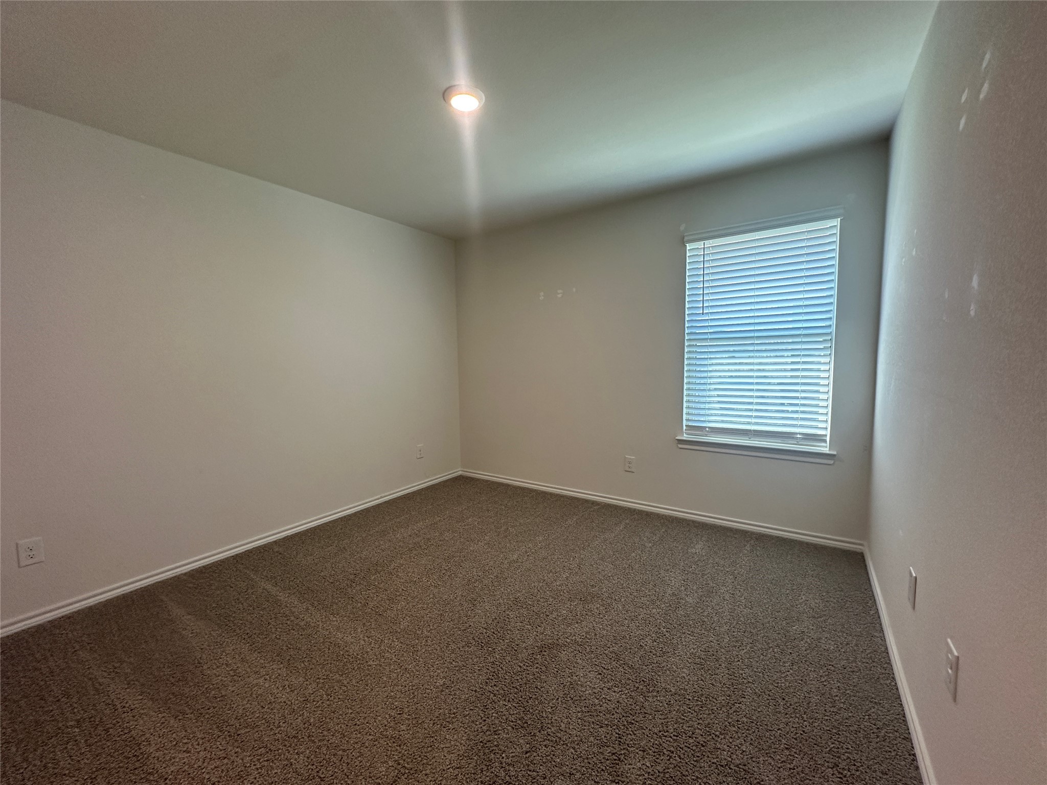 136 Sunberry Drive