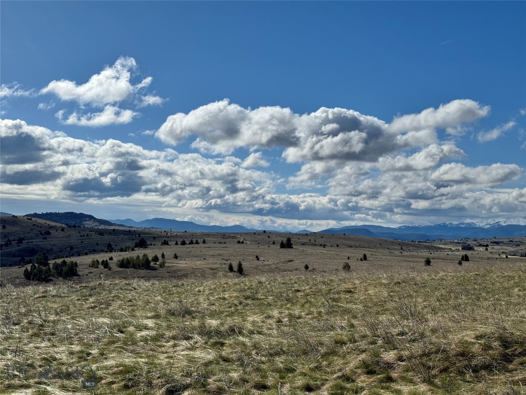 TBD Hyde Park (The Strike #1 mining claim)