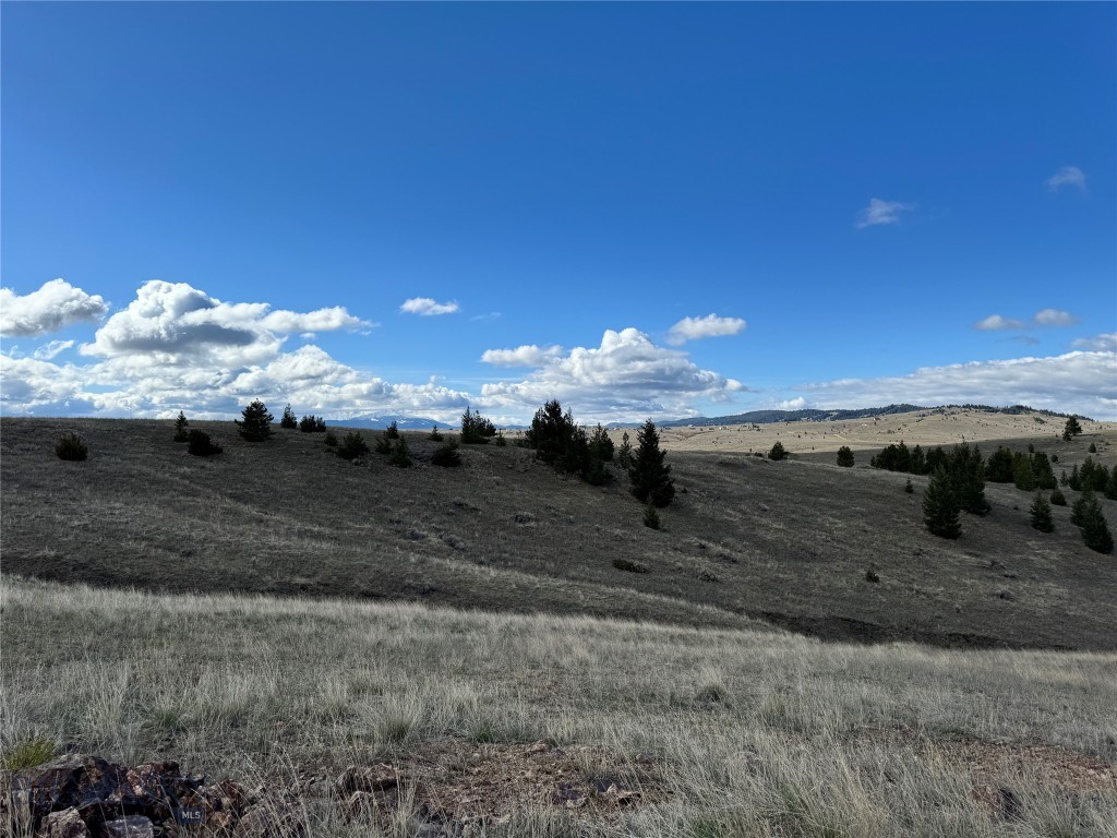 TBD Hyde Park (The Strike #1 mining claim)