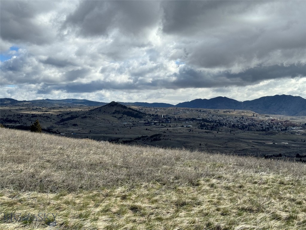 TBD Hyde Park (The Strike #1 mining claim)