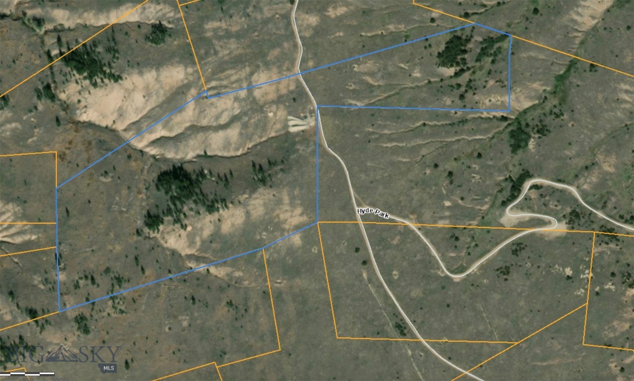 TBD Hyde Park (The Strike #1 mining claim)