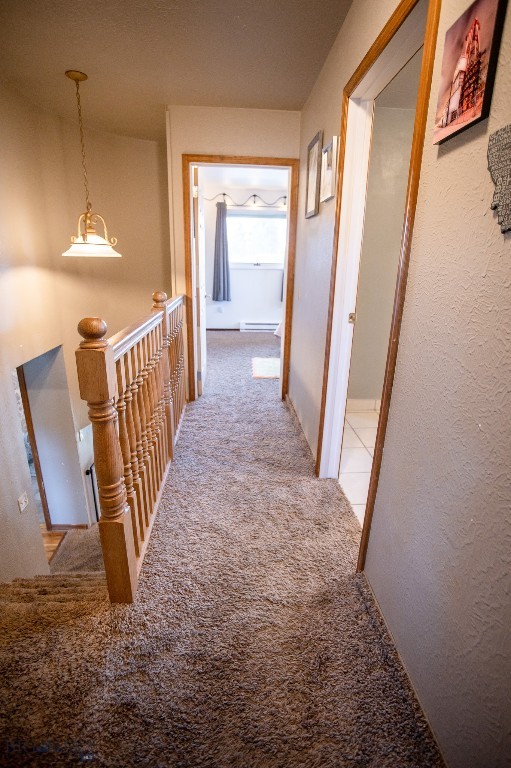 2925 Bayard