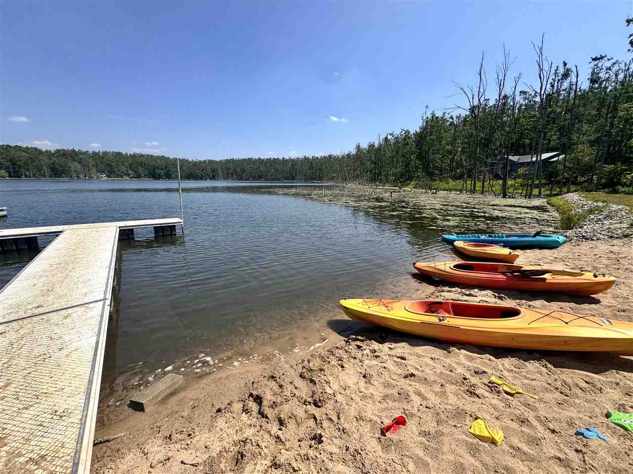 1937 Limberlost Lane