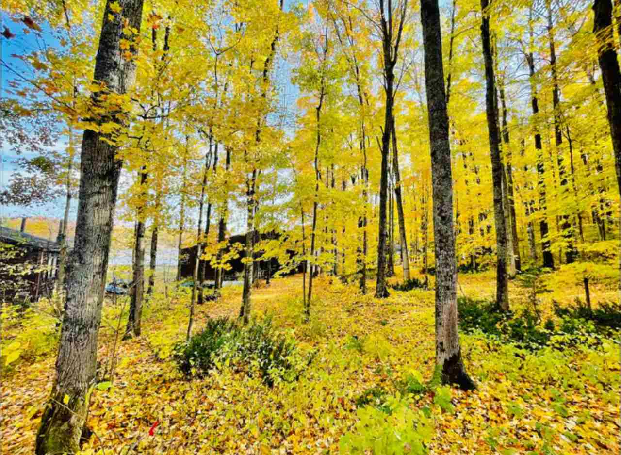 1941 Limberlost Lane Unit: 6