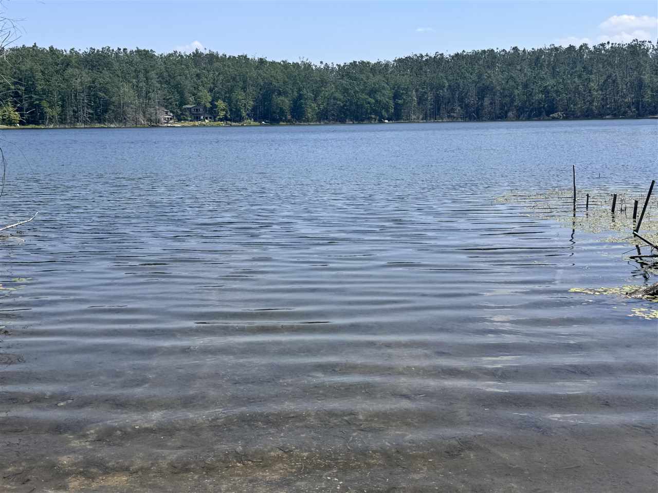 1935 Limberlost Lane