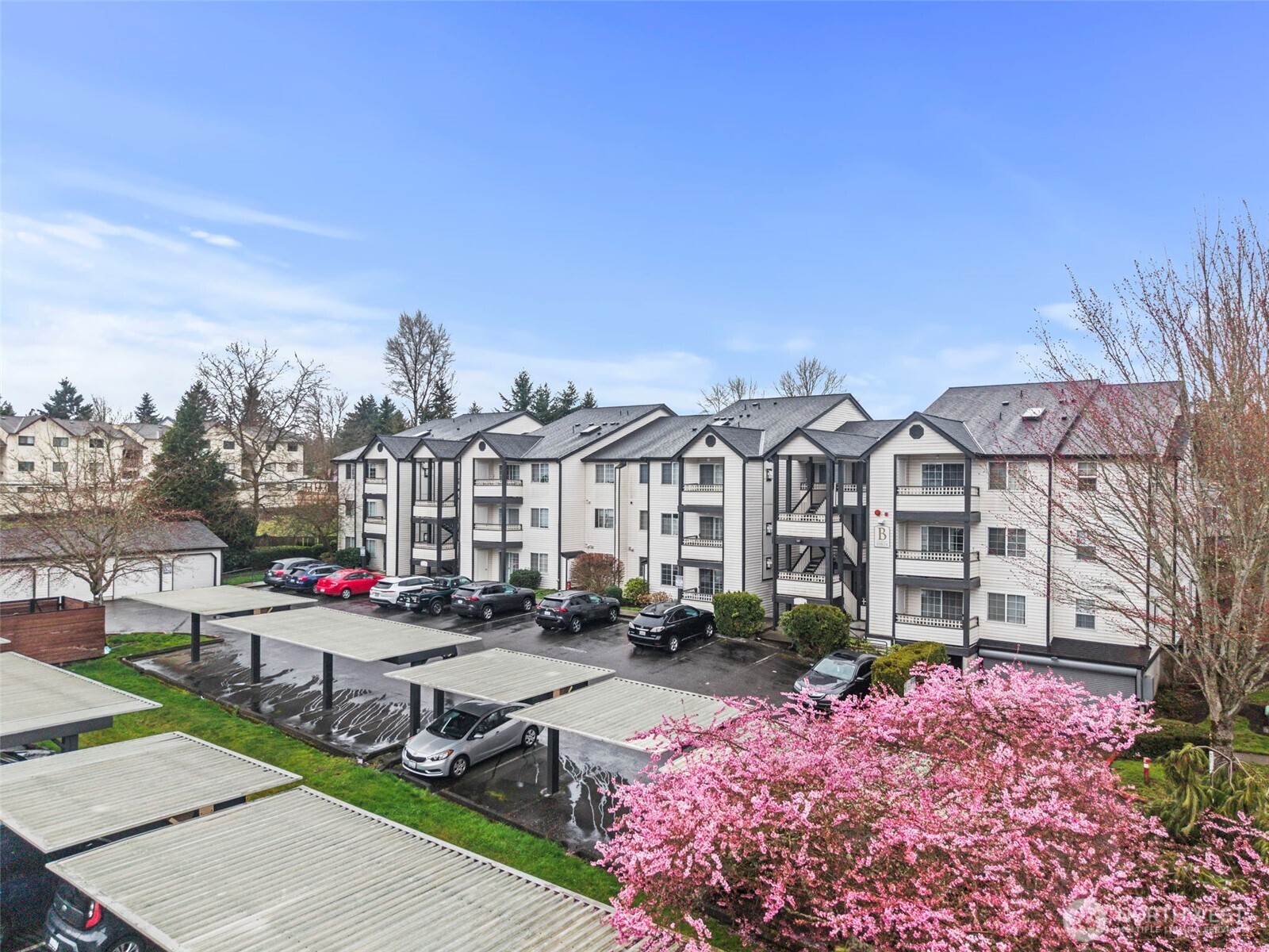 Condominium complex with covered parking and a pink flowering tree in the foreground.