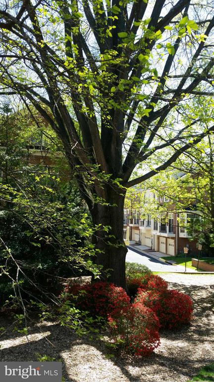 1632 COLONIAL HILLS DRIVE