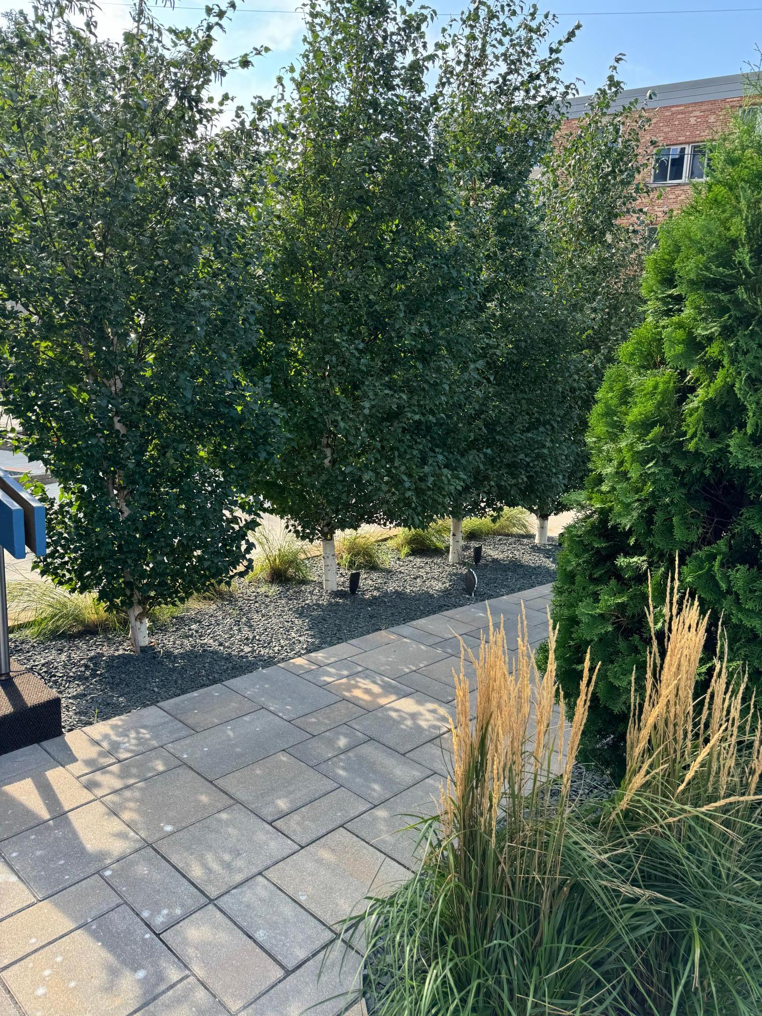 2800 W 44th Street Unit: 108