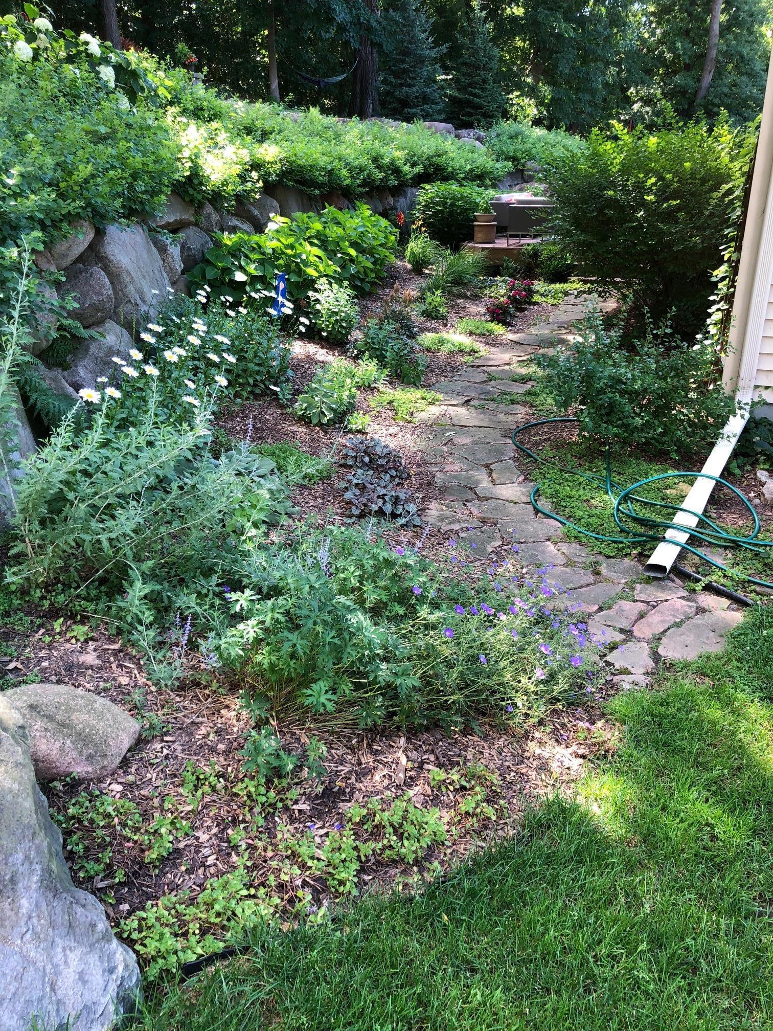 1496 Pinetree Trail