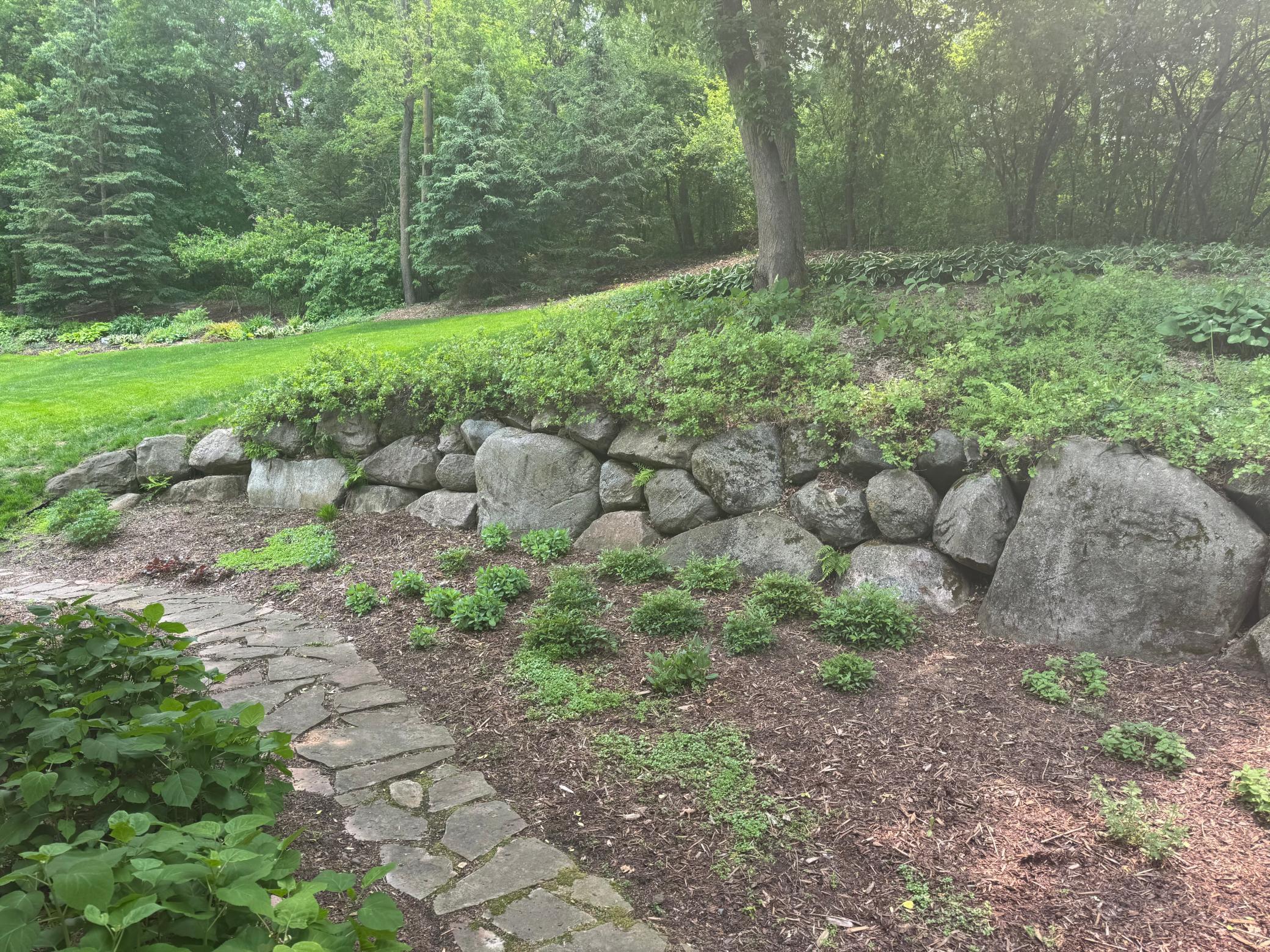 1496 Pinetree Trail