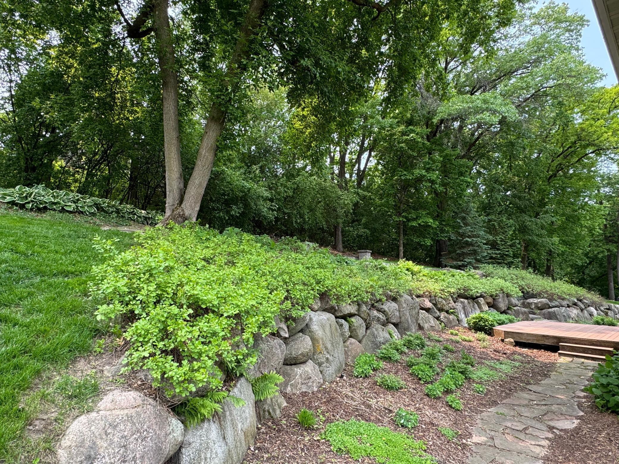 1496 Pinetree Trail