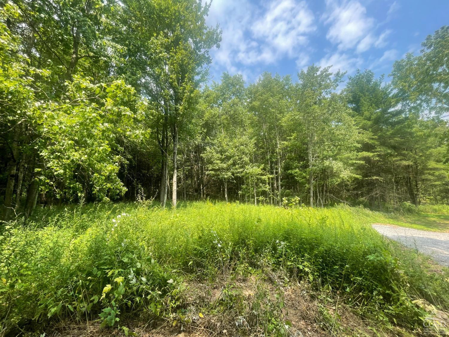 1865 County Route 51