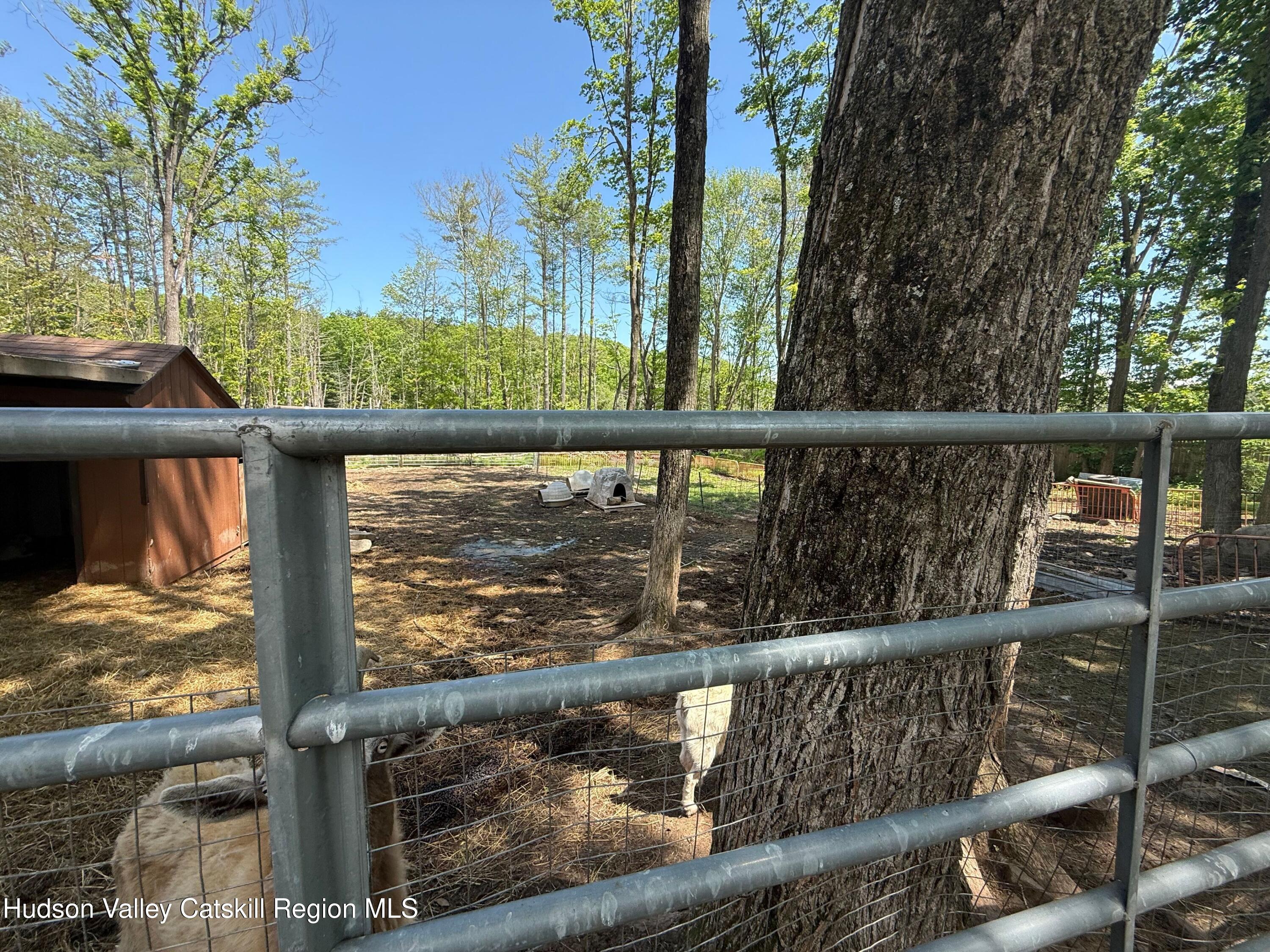 70 Blue Mountain Road