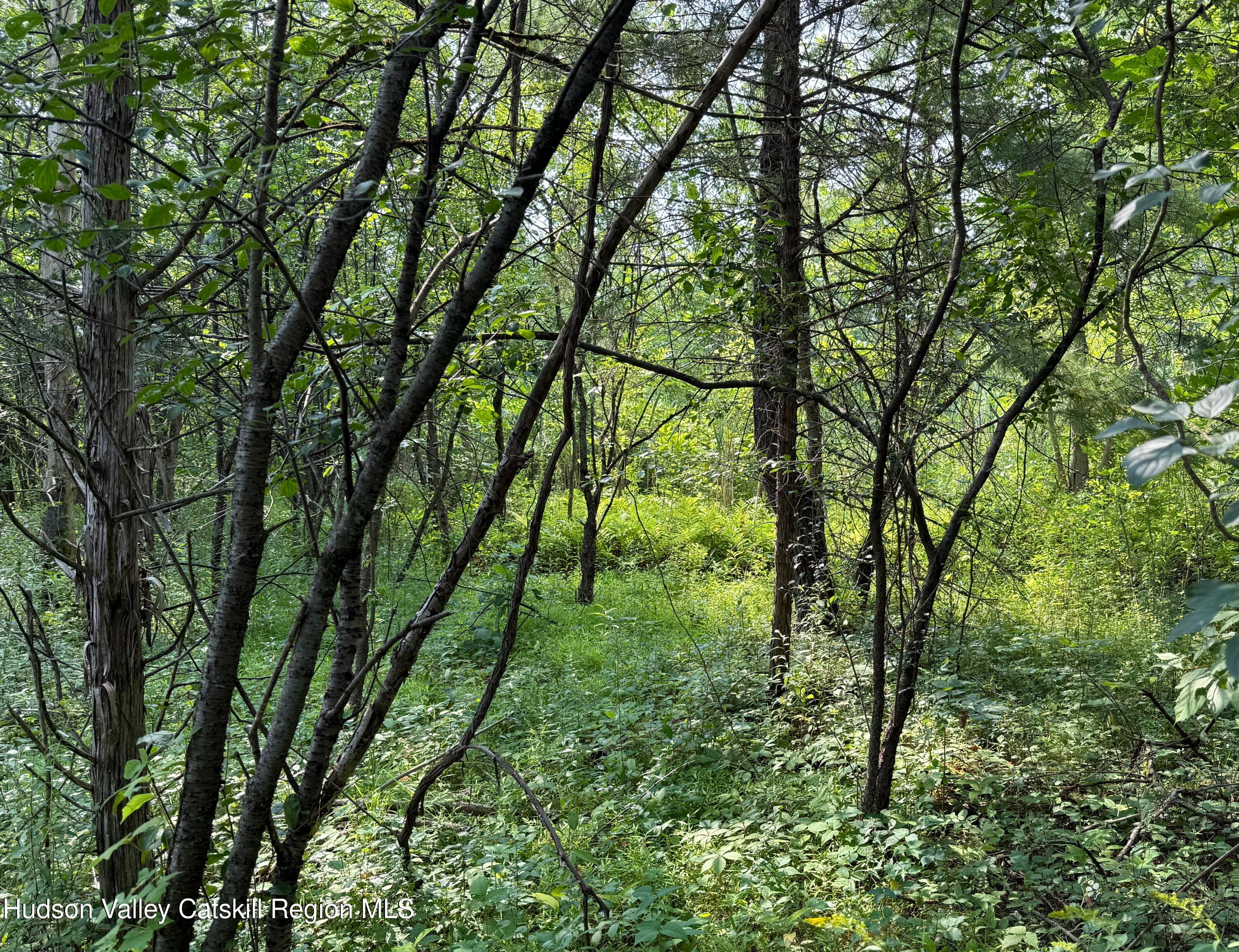 100 Van Houten Drive