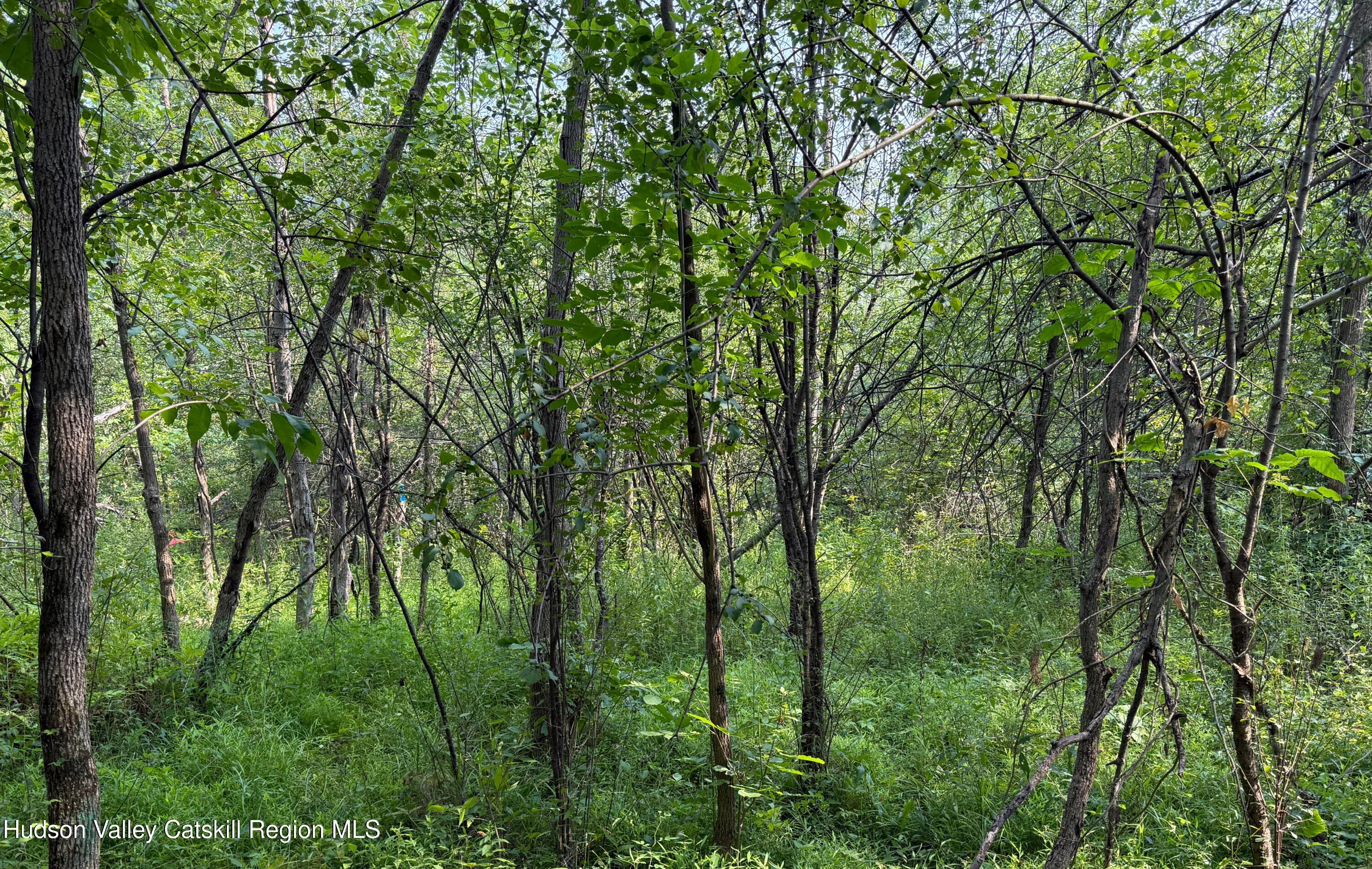 100 Van Houten Drive