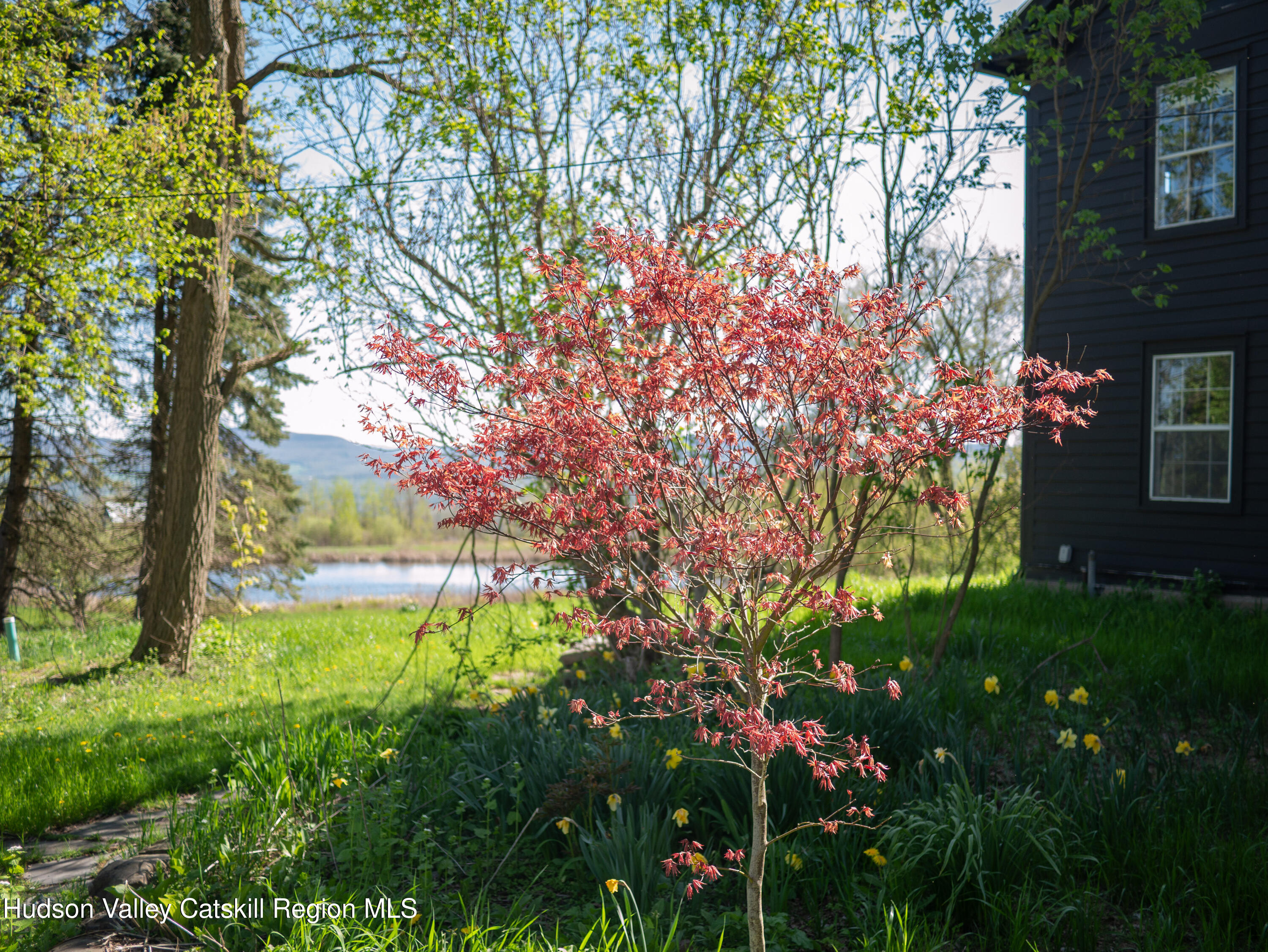 483 Travis Hill Road