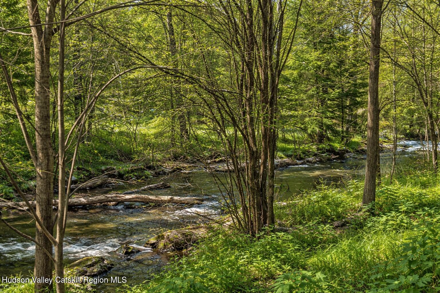40 Potic Creek Road