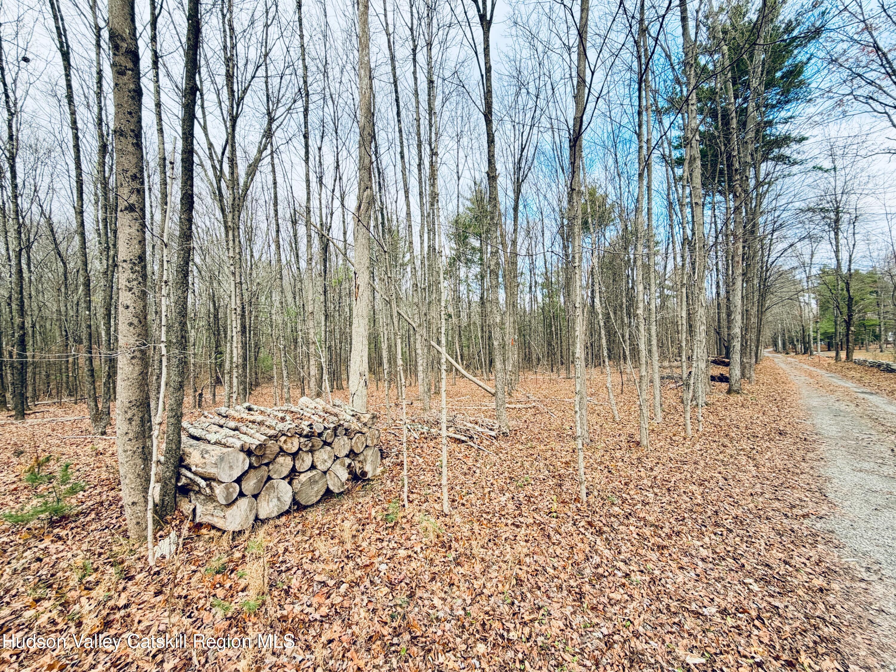 38 Spurck Road