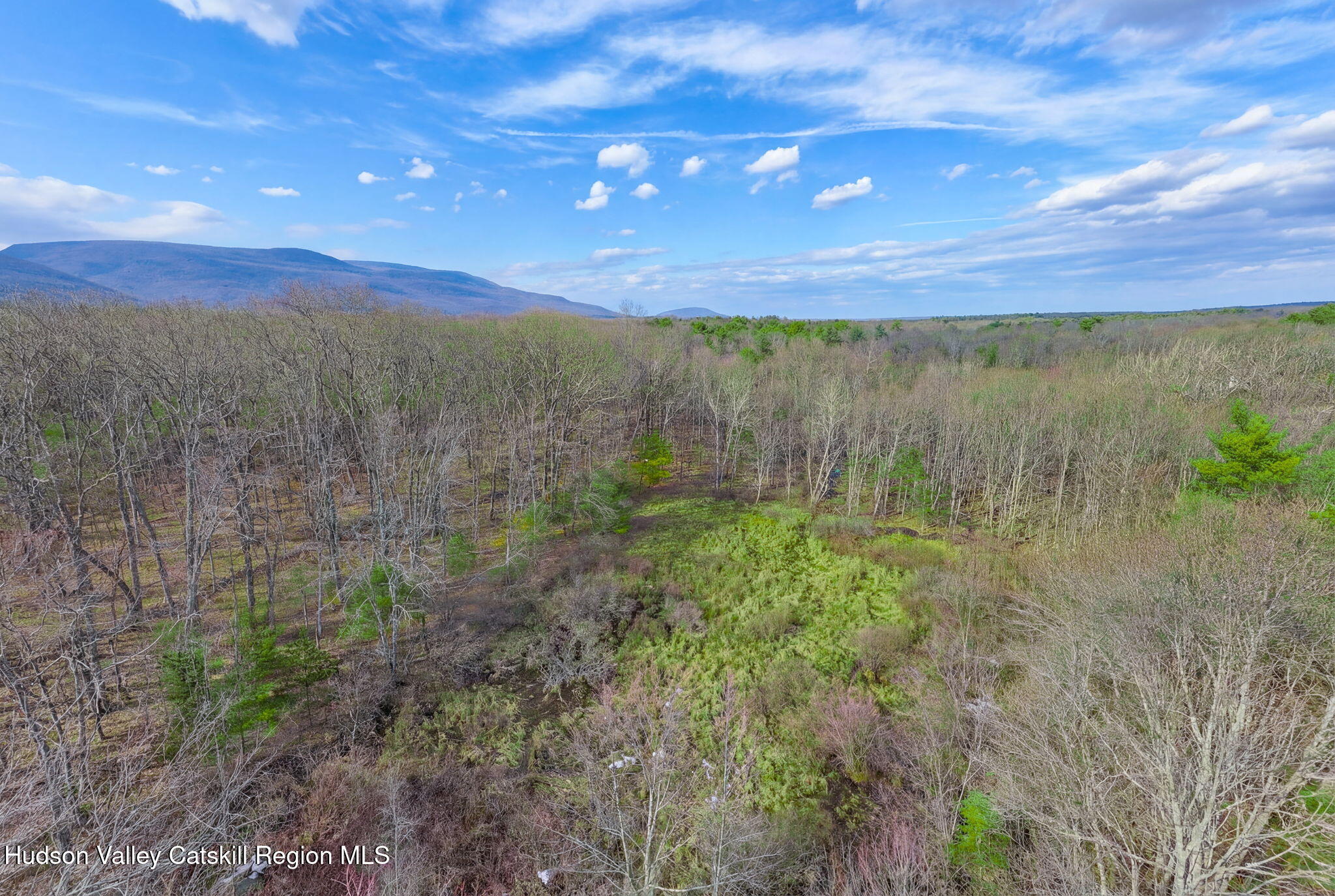 38 Spurck Road