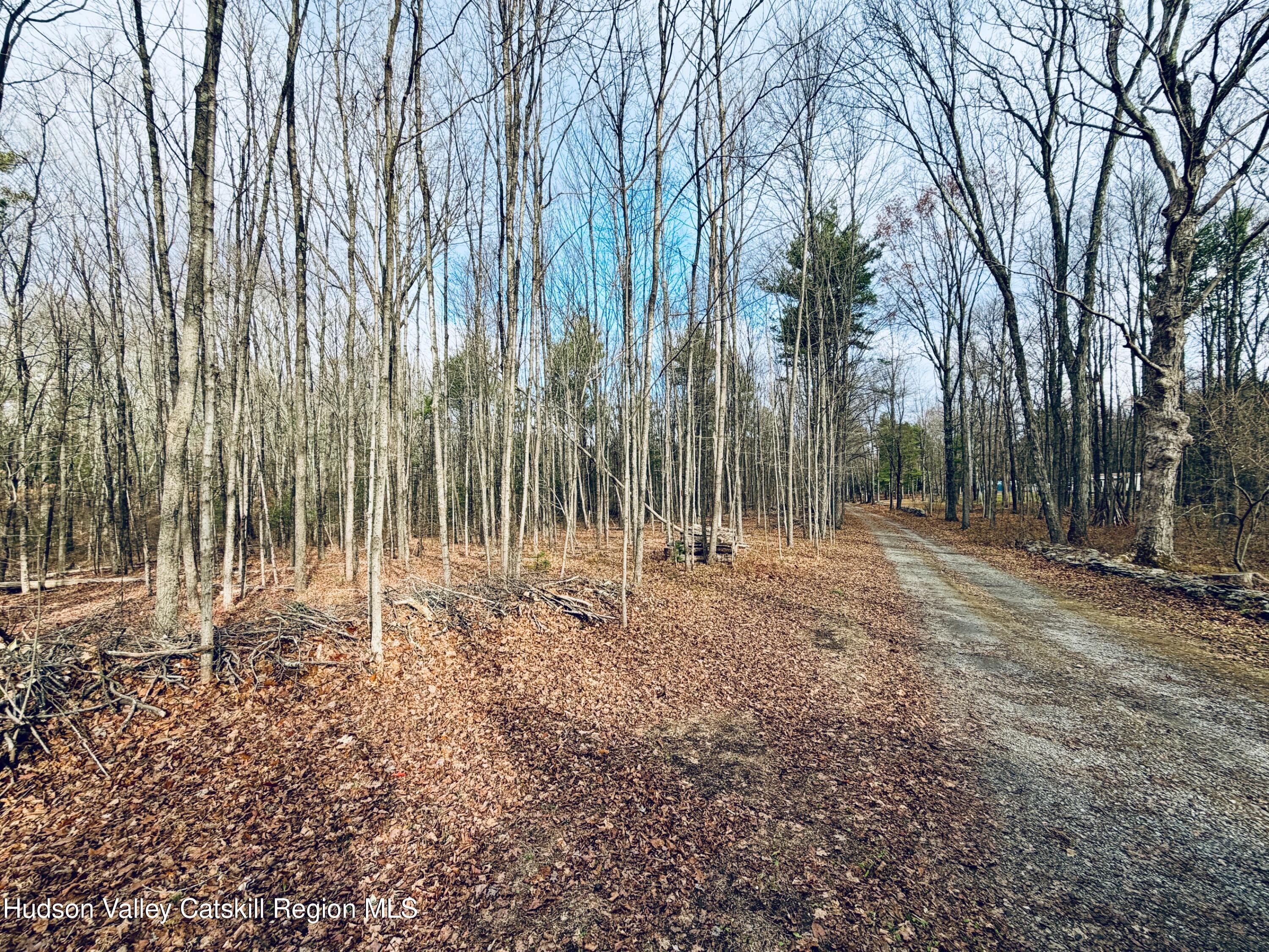 38 Spurck Road