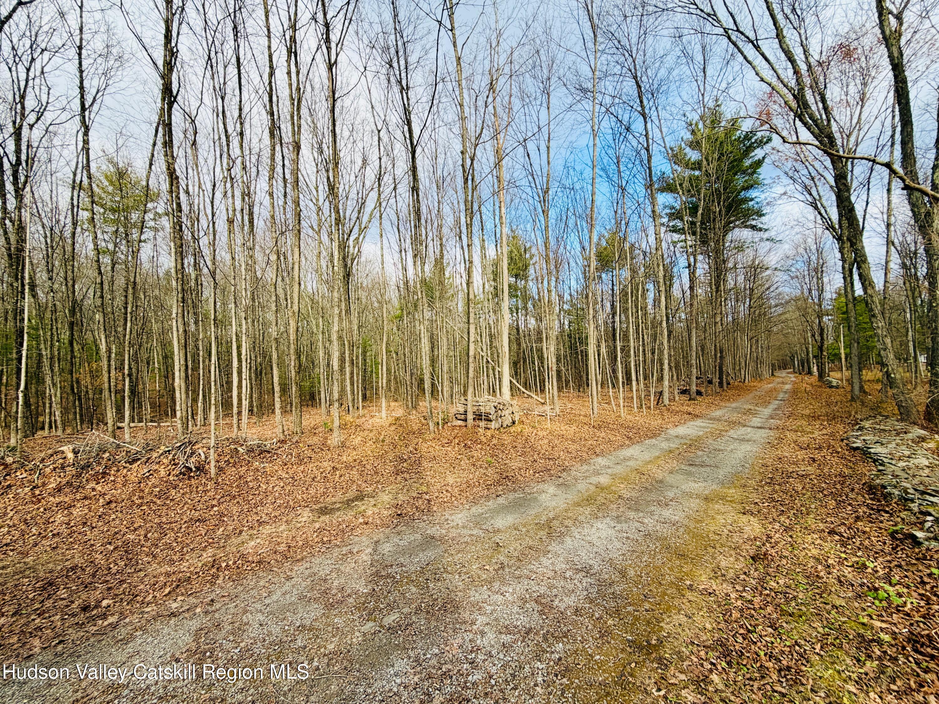 38 Spurck Road
