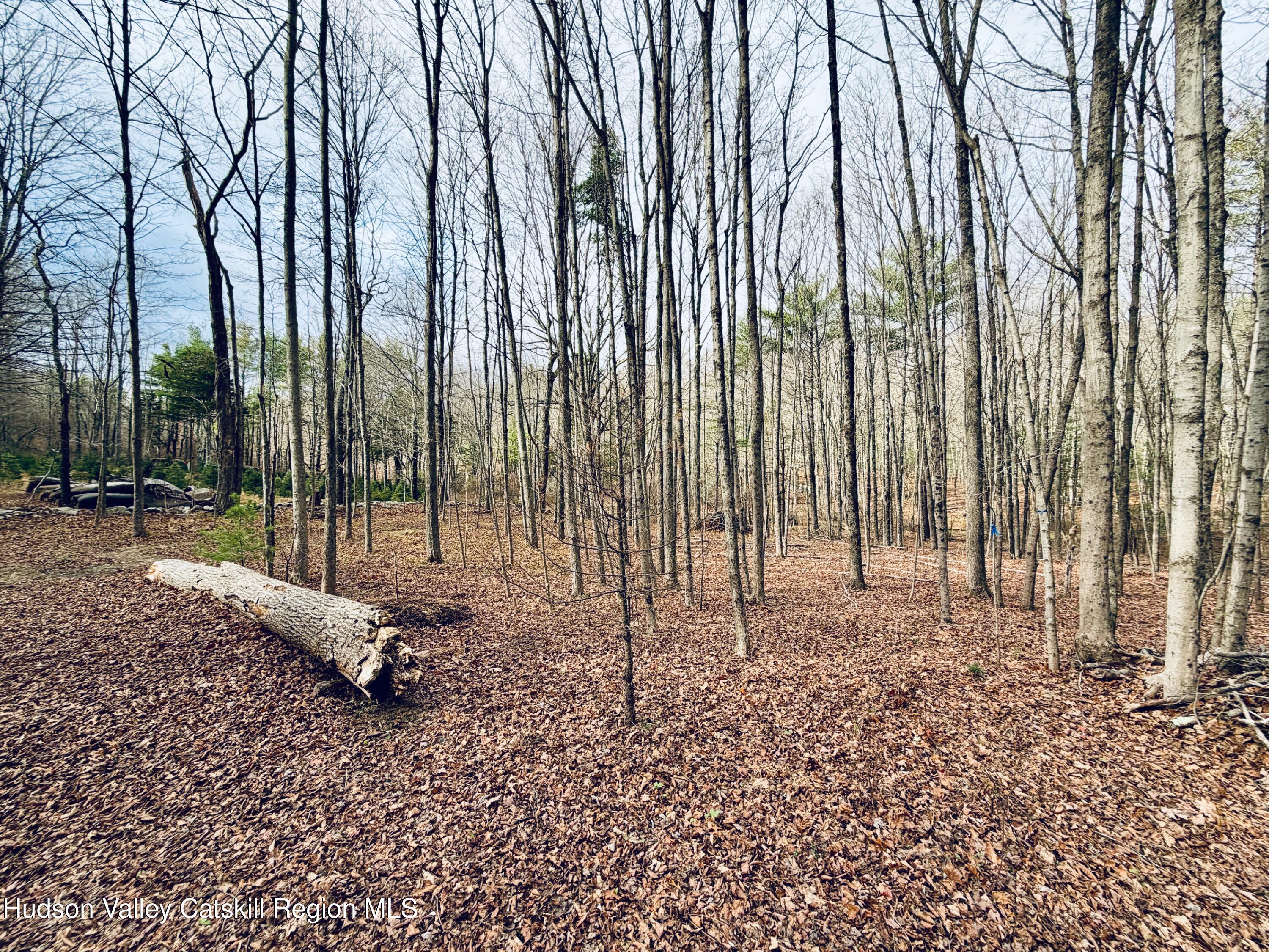 38 Spurck Road