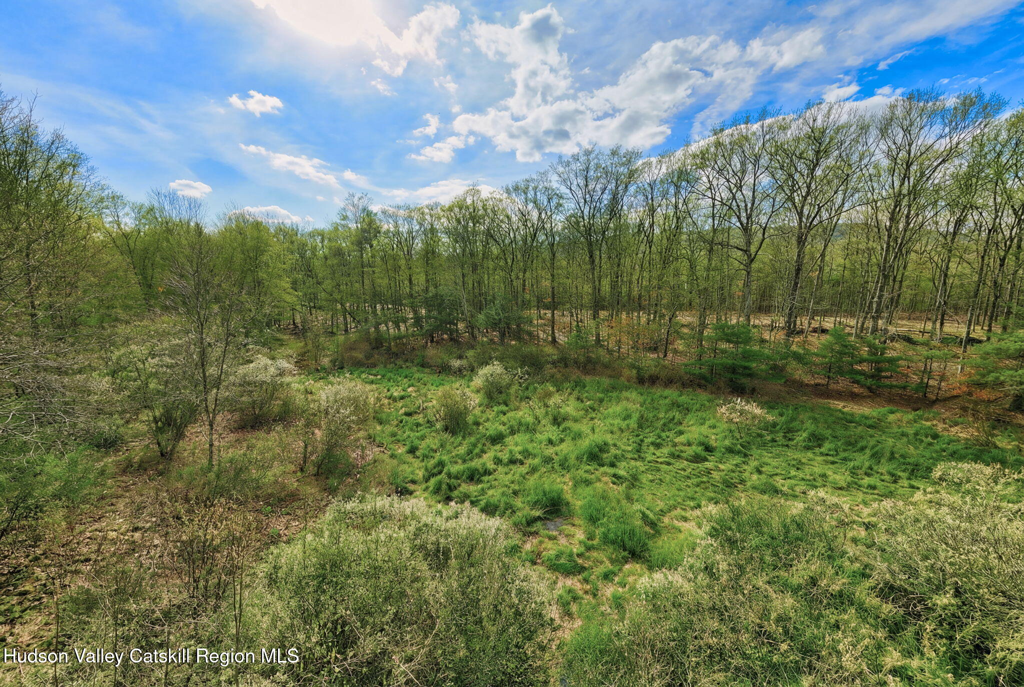 38 Spurck Road