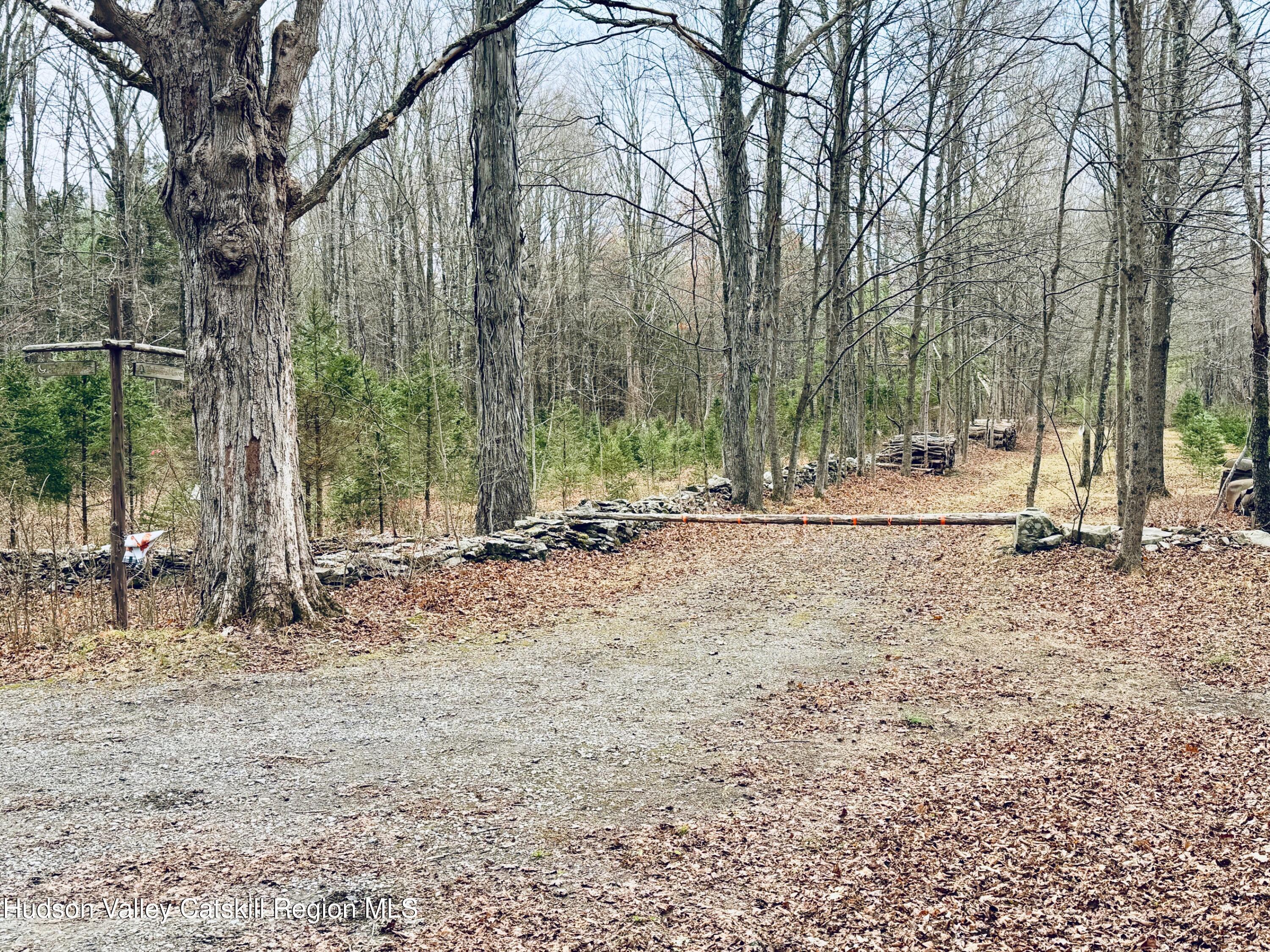 38 Spurck Road
