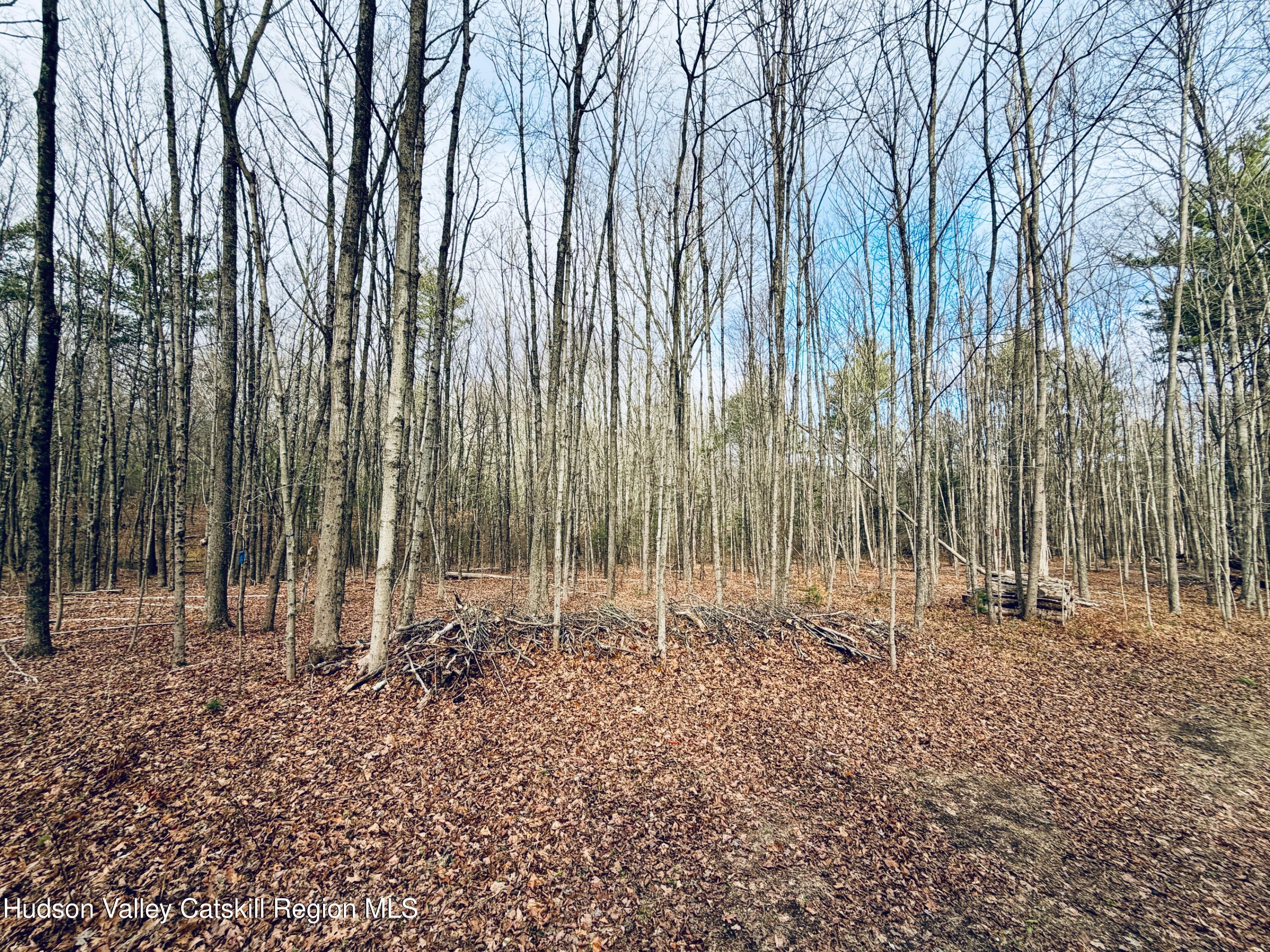 38 Spurck Road